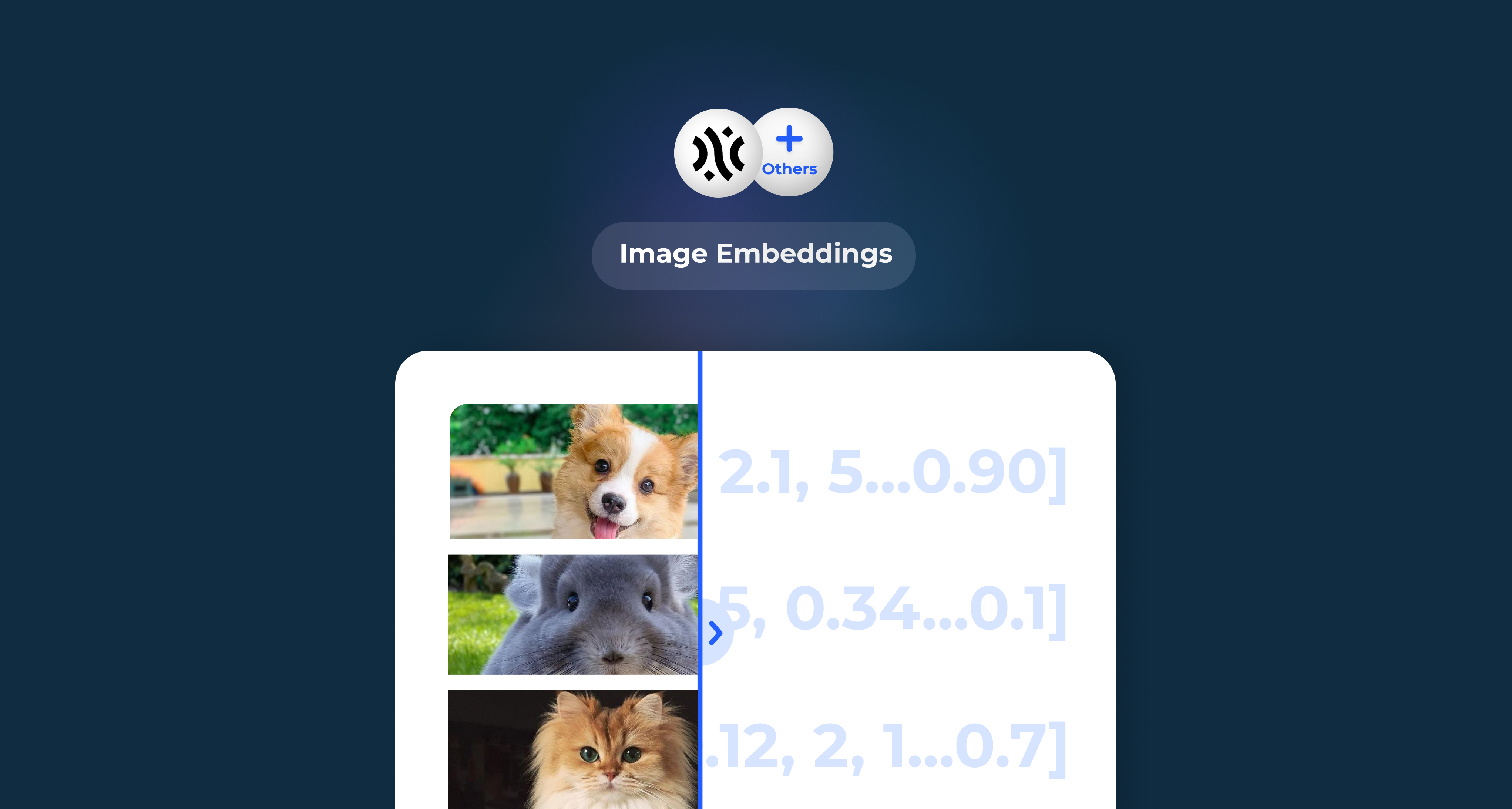 Image Embeddings