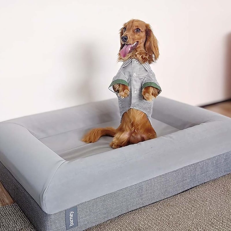 Small Barney Bed