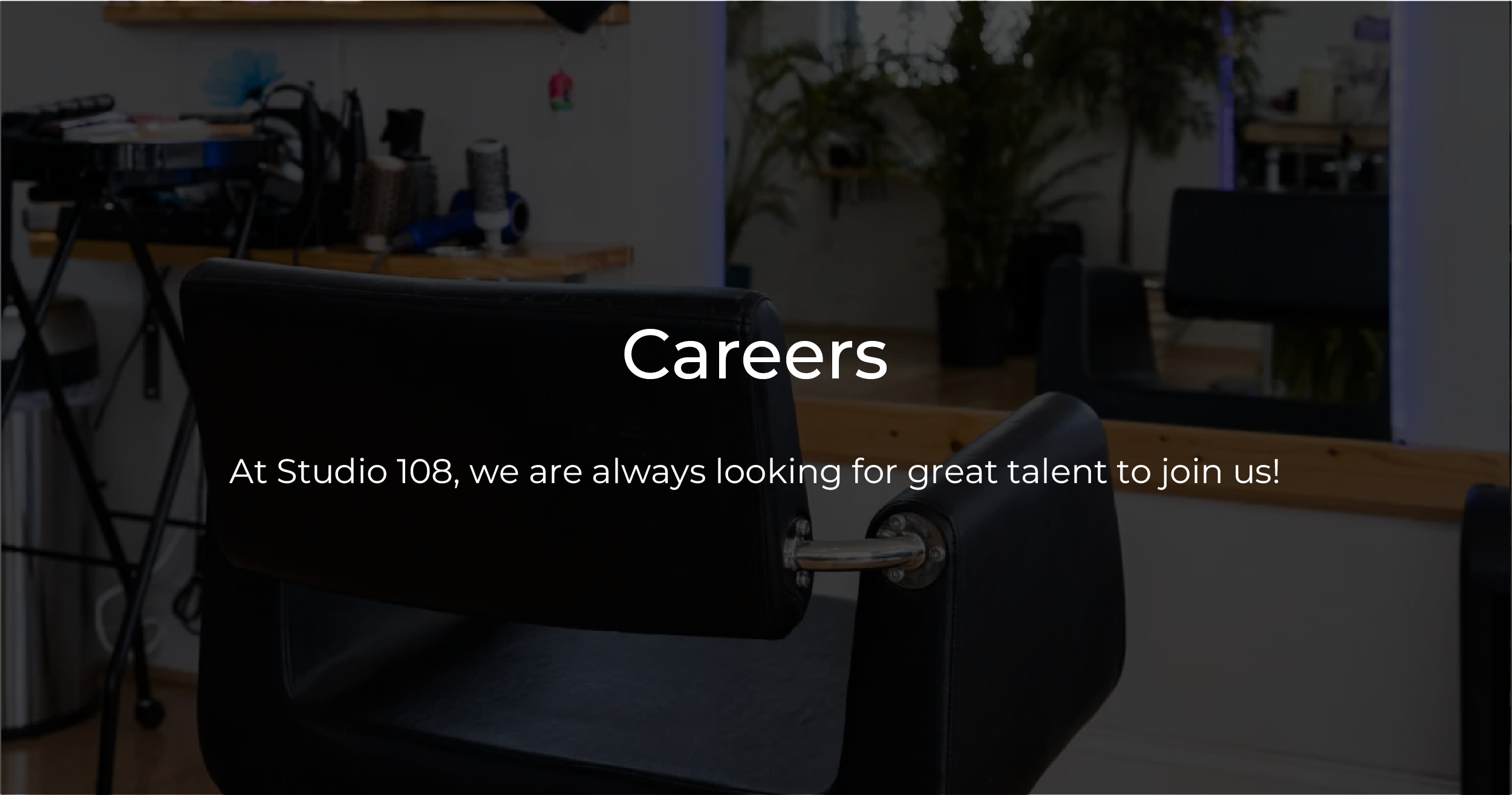 Careers - Studio 108 - Charlottesville, Virginia