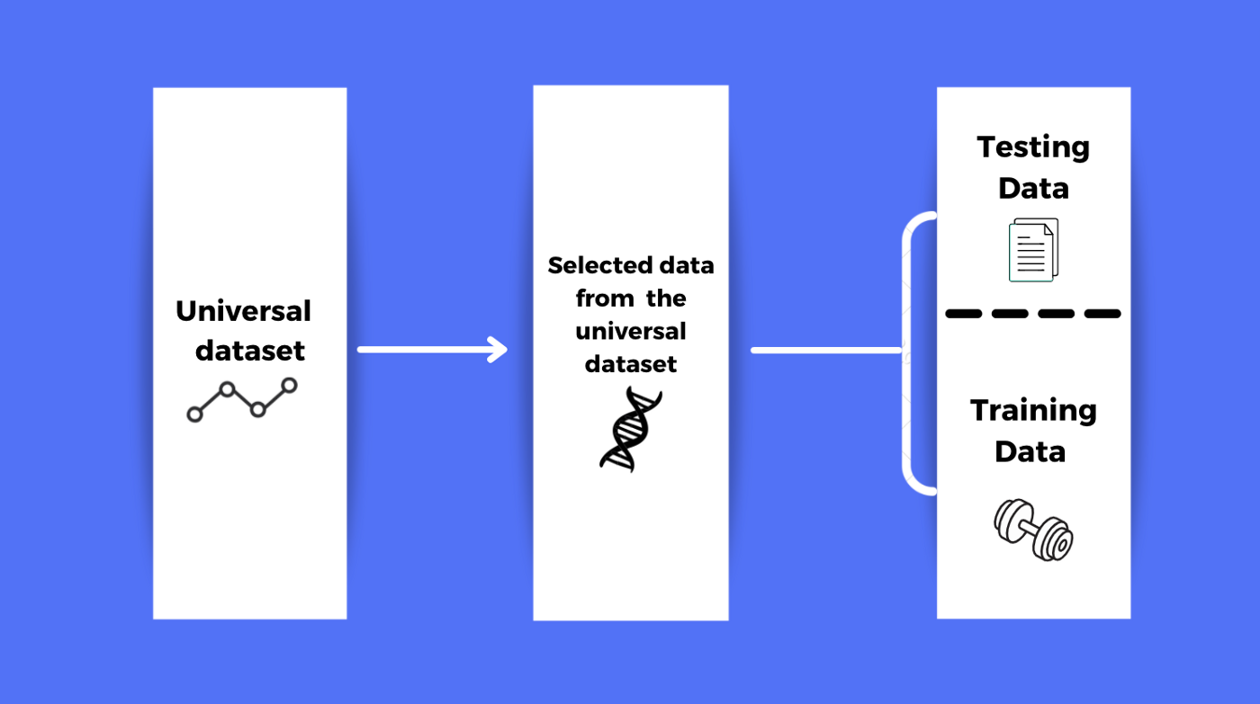 What is the difference between Training and Testing Data in Machine ...