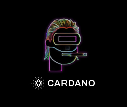 In this guide we outline the 5 best Cardano NFT Marketplaces to start buying, selling, and trading ADA NFTs. Find the best projects on the most trusted platforms.