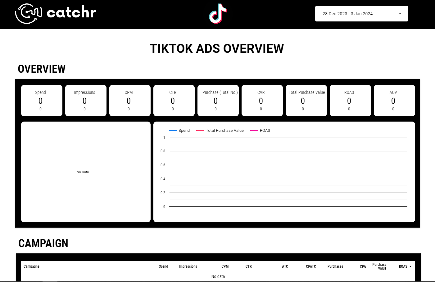 Template Tiktok Ads Overview Ecommerce