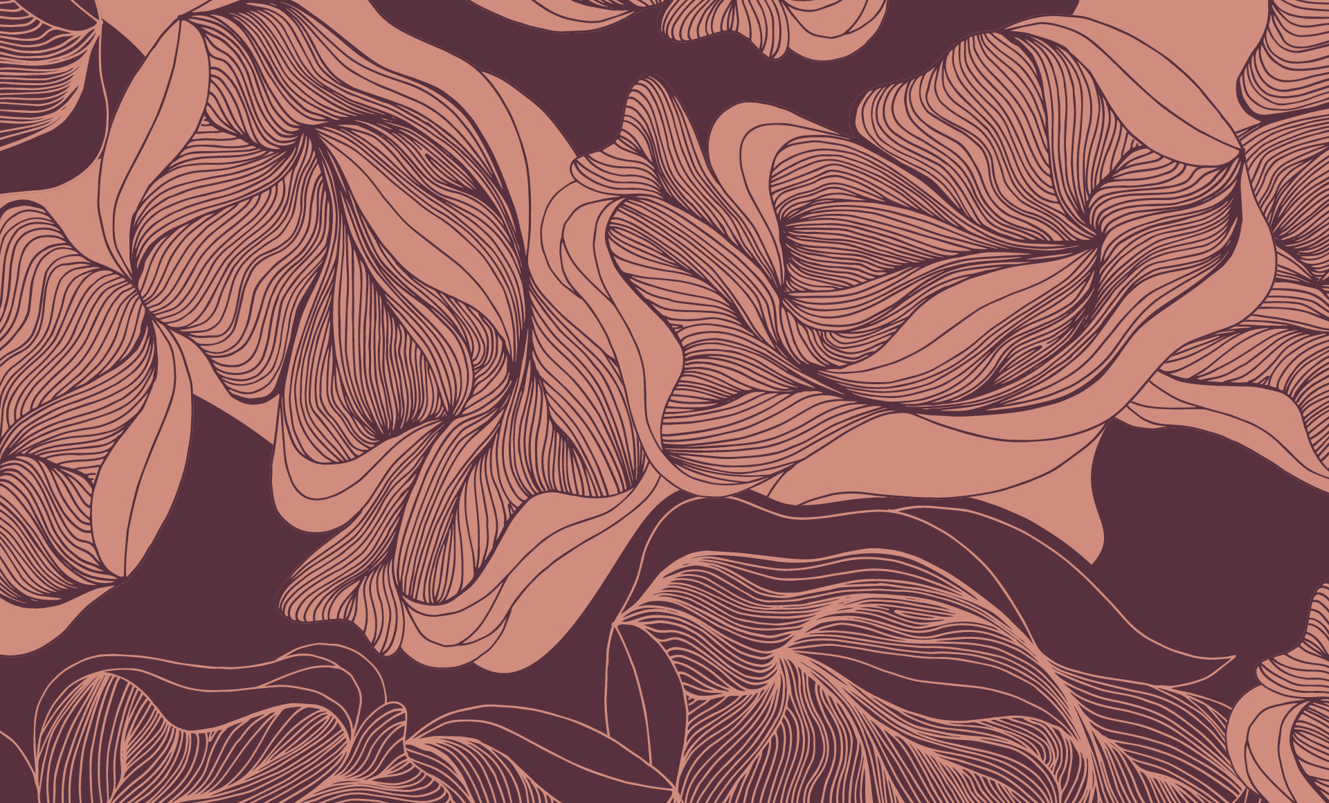 Momentum Textiles & Wallcovering's Digital Campaign