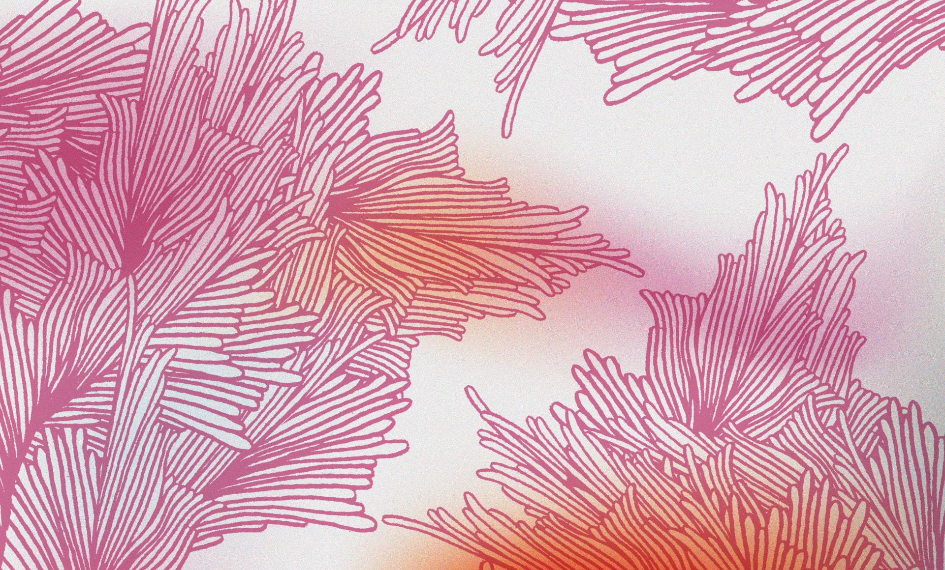 Momentum Textiles & Wallcovering's Digital Campaign