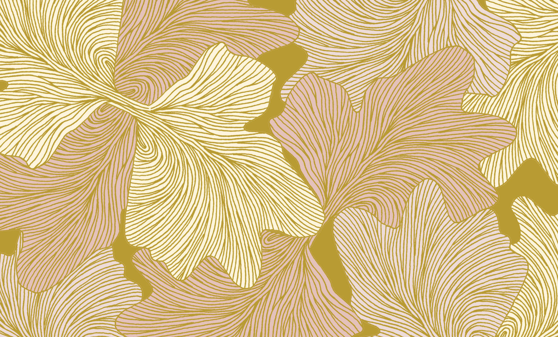 Momentum Textiles & Wallcovering's Digital Campaign