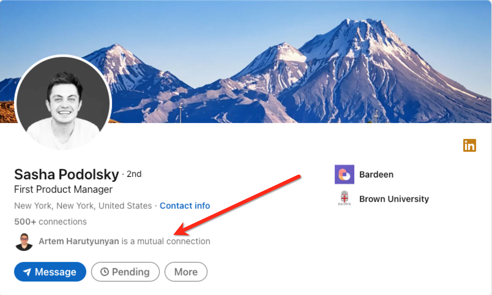 Sync LinkedIn Mutual Connections to Google Sheets in 3 Steps