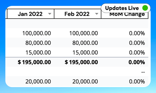 Profit & Loss Statement Template for Excel & Google Sheets - MoM Growth