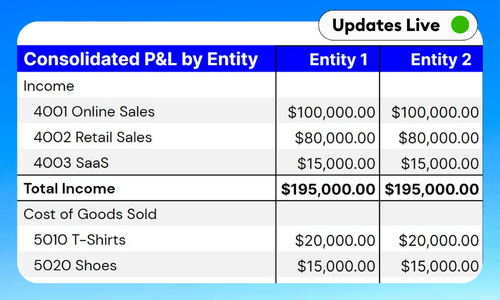 Consolidated P&L 4 Entities