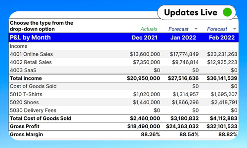 Forecasting P&L Template For Excel & Google Sheets