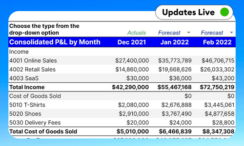 Consolidated Forecasting P&L Template For Excel & Google Sheets