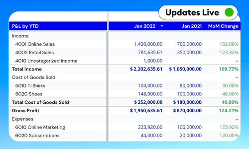 Year To Date Profit and Loss & Balance Sheet Template