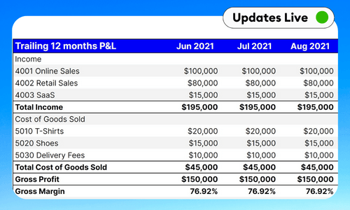 Trailing 12 Months Profit and Loss Excel and Google Sheet Template