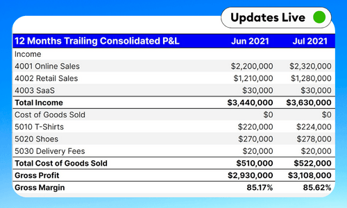 Consolidated Trailing 12 Months P&L | Excel & Google Sheet Template