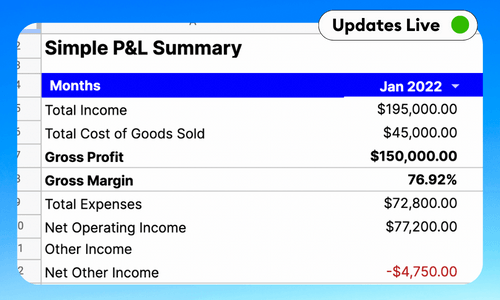 Live Client Reporting Template for Excel & Google Sheets