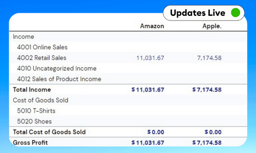 P&L by Customer Template - Google Sheets & Excel