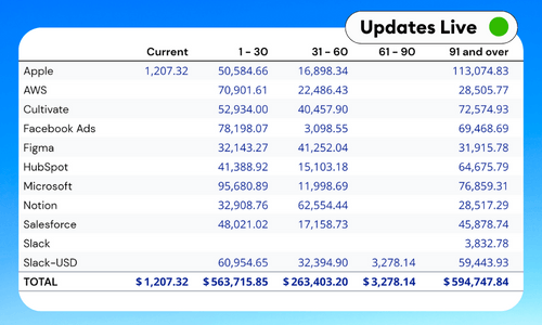 QuickBooks A/P Aging Summary Report Template - Google Sheets & Excel