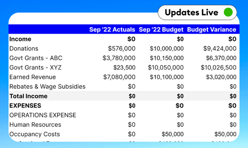 Profit & Loss and Balance Sheet Board Summary Template - Google Sheets & Excel