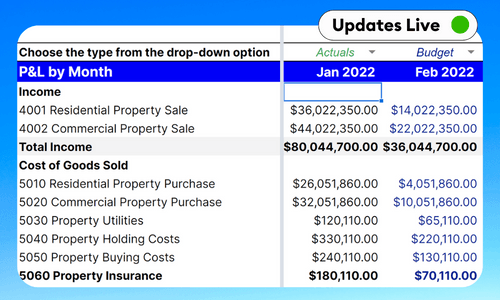 Profit and Loss with Dynamic Budget vs Actual Template - Google Sheets & Excel