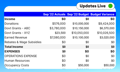 Nonprofit - Statement of Activities and Financial Position Template - Google Sheets & Excel