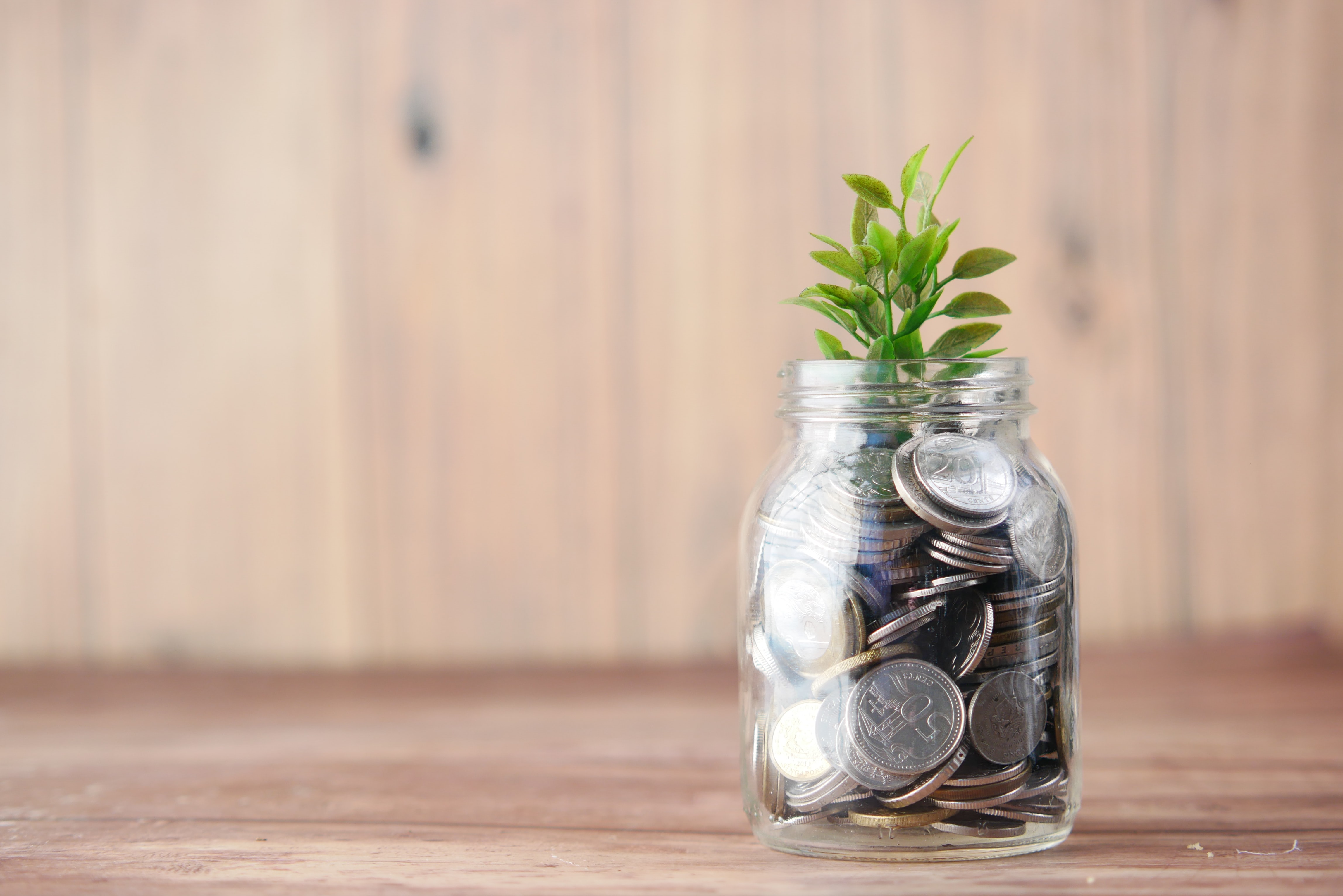 Jar with coins and a small plant growing out of it