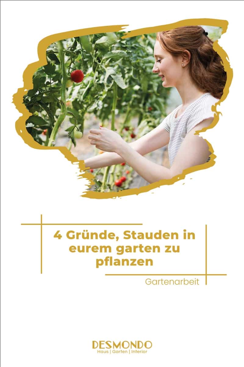 4 Gründe, Stauden in eurem Gemüsegarten zu pflanzen