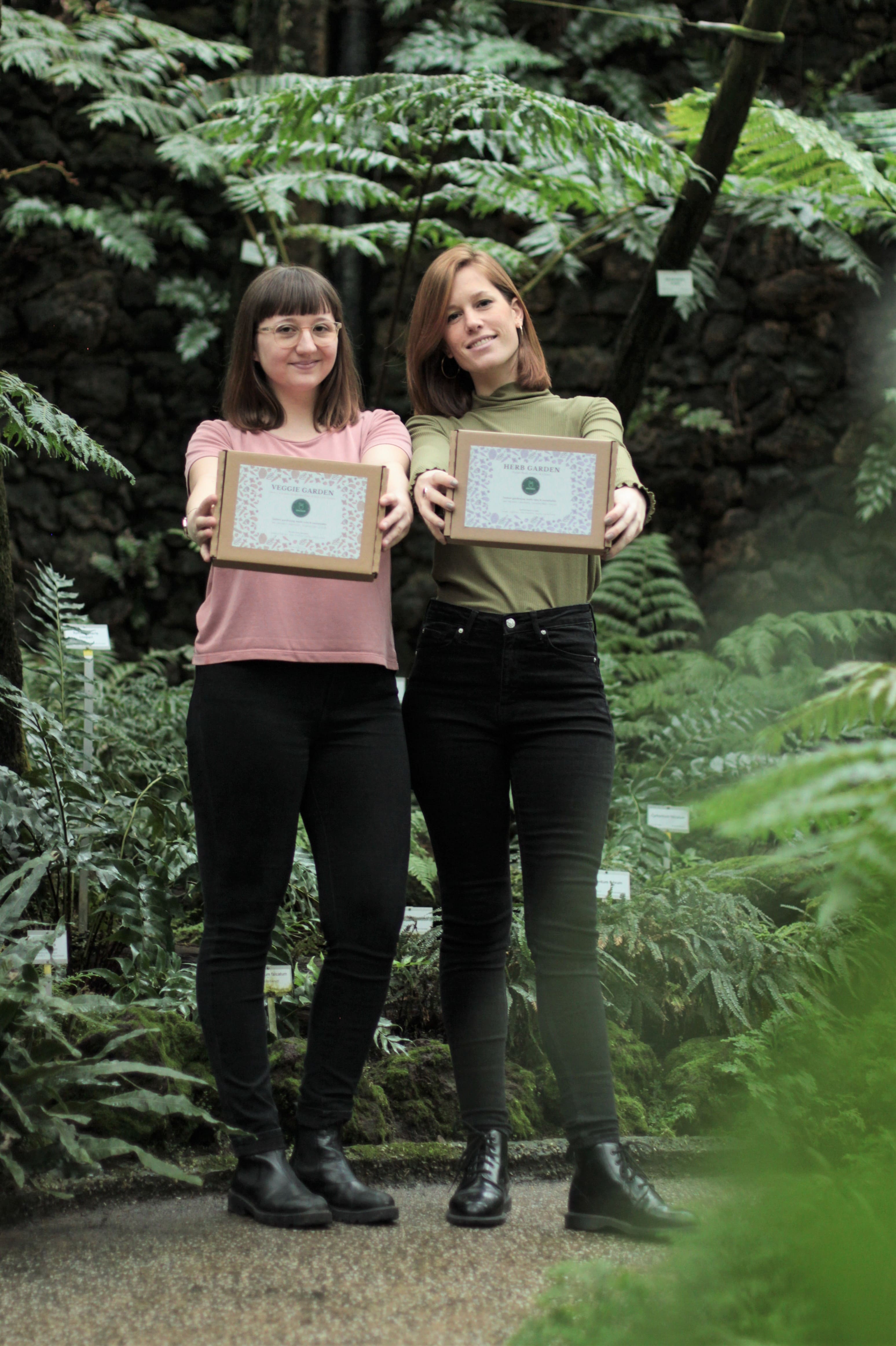 Grüneo Gärtnern auf der Fensterbank