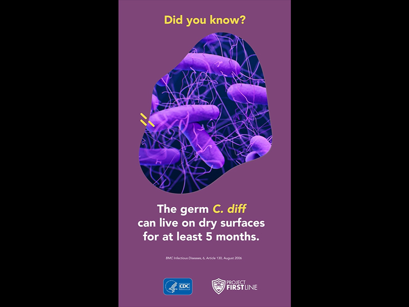 Training & Resources