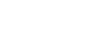 Dropshipping.com logo