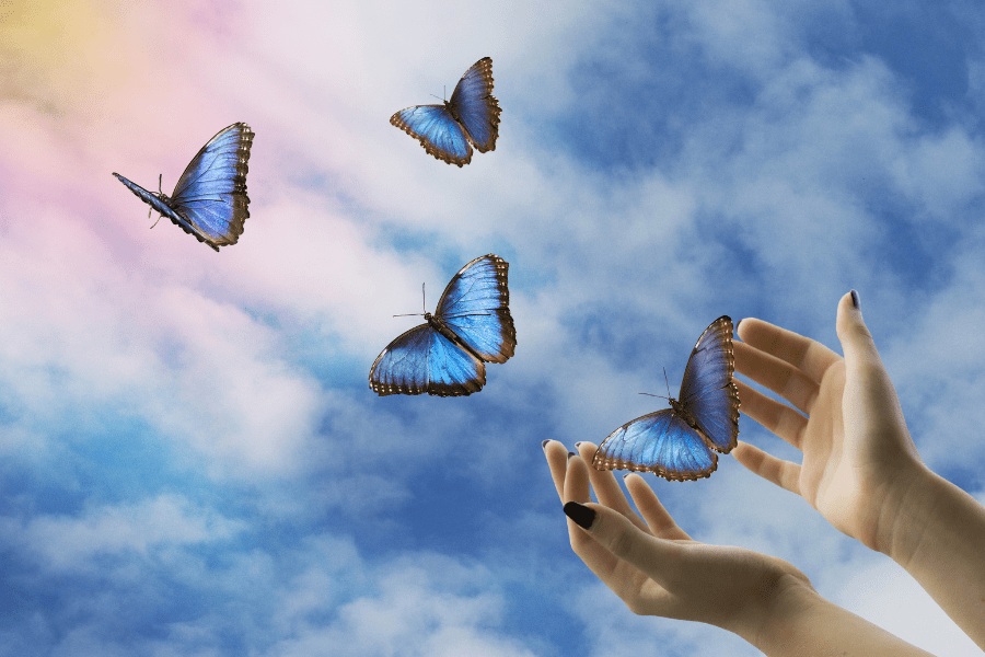 Butterfly release memorial service idea