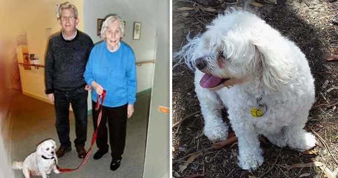 Michael Jones sought grief support after the loss of his mother and dog.