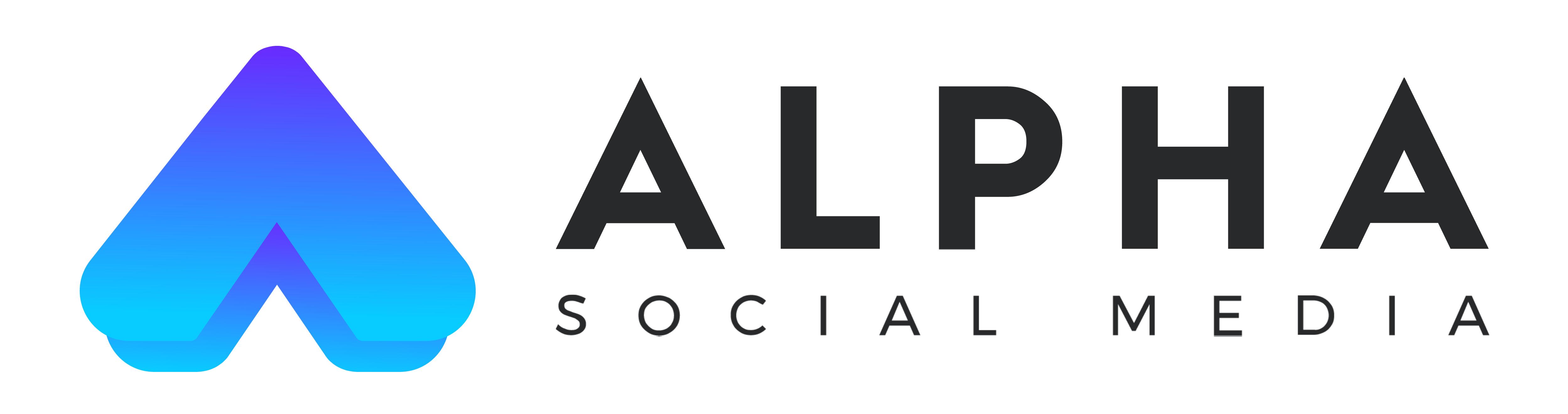 alpha-social-media-marketing-vrogue-co