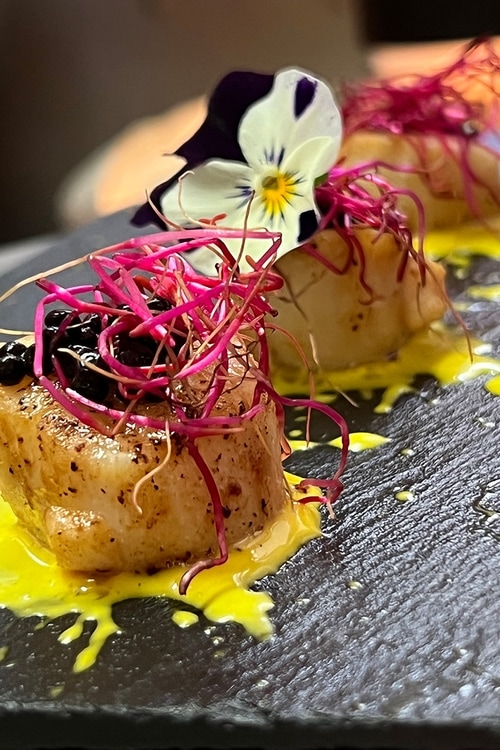 Nashville christmas light tour