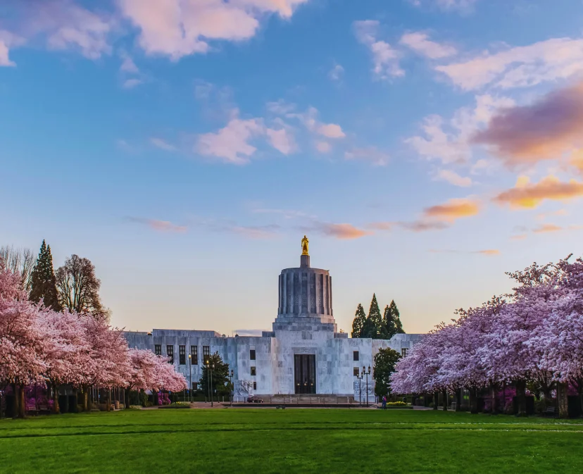 Eviction process in oregon