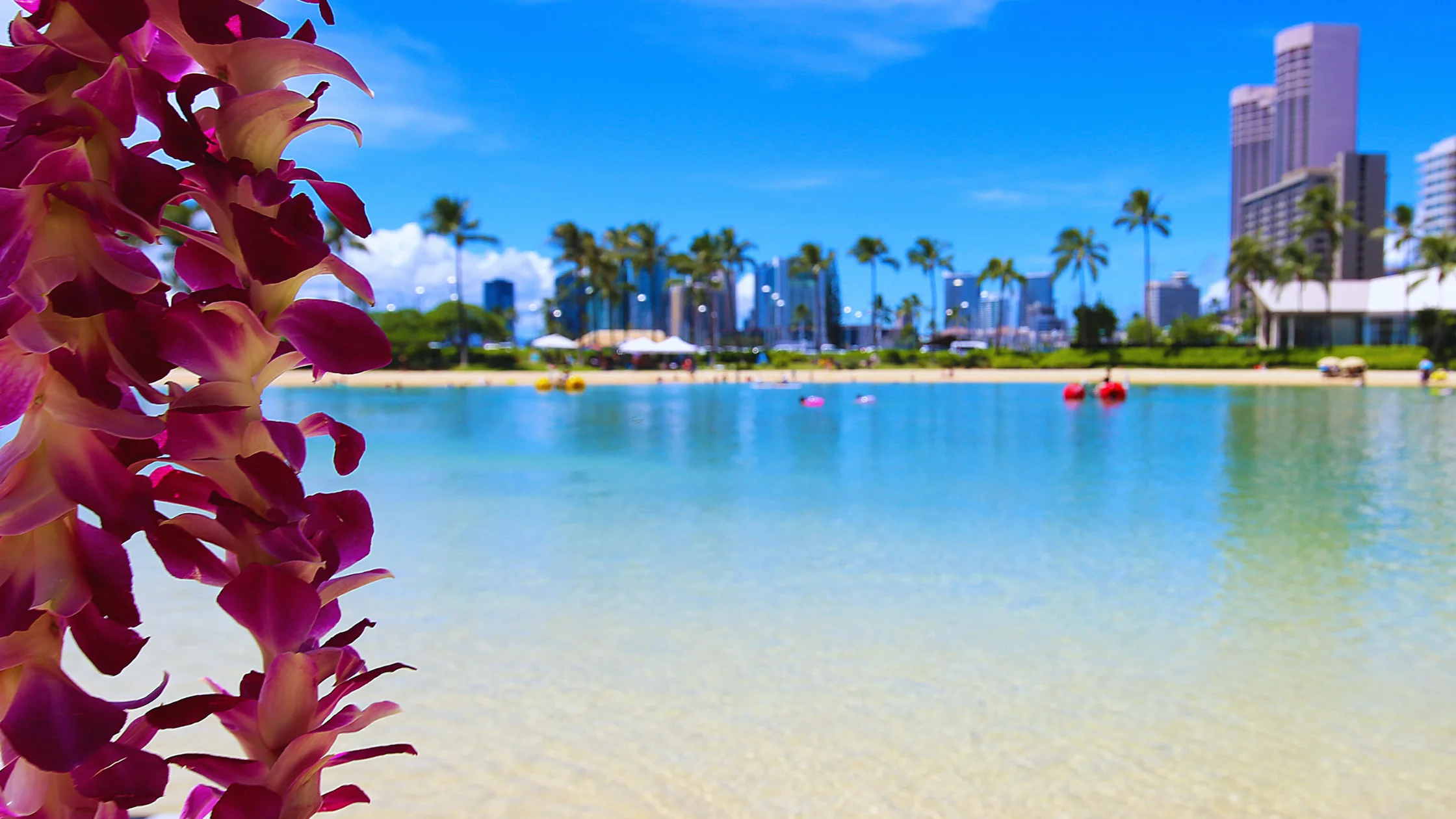 Airbnb & Short Term Rental Laws and Regulations In Hawaii