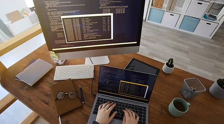 Top 10 Nearshore Software Development Companies in 2023 - The News Intel