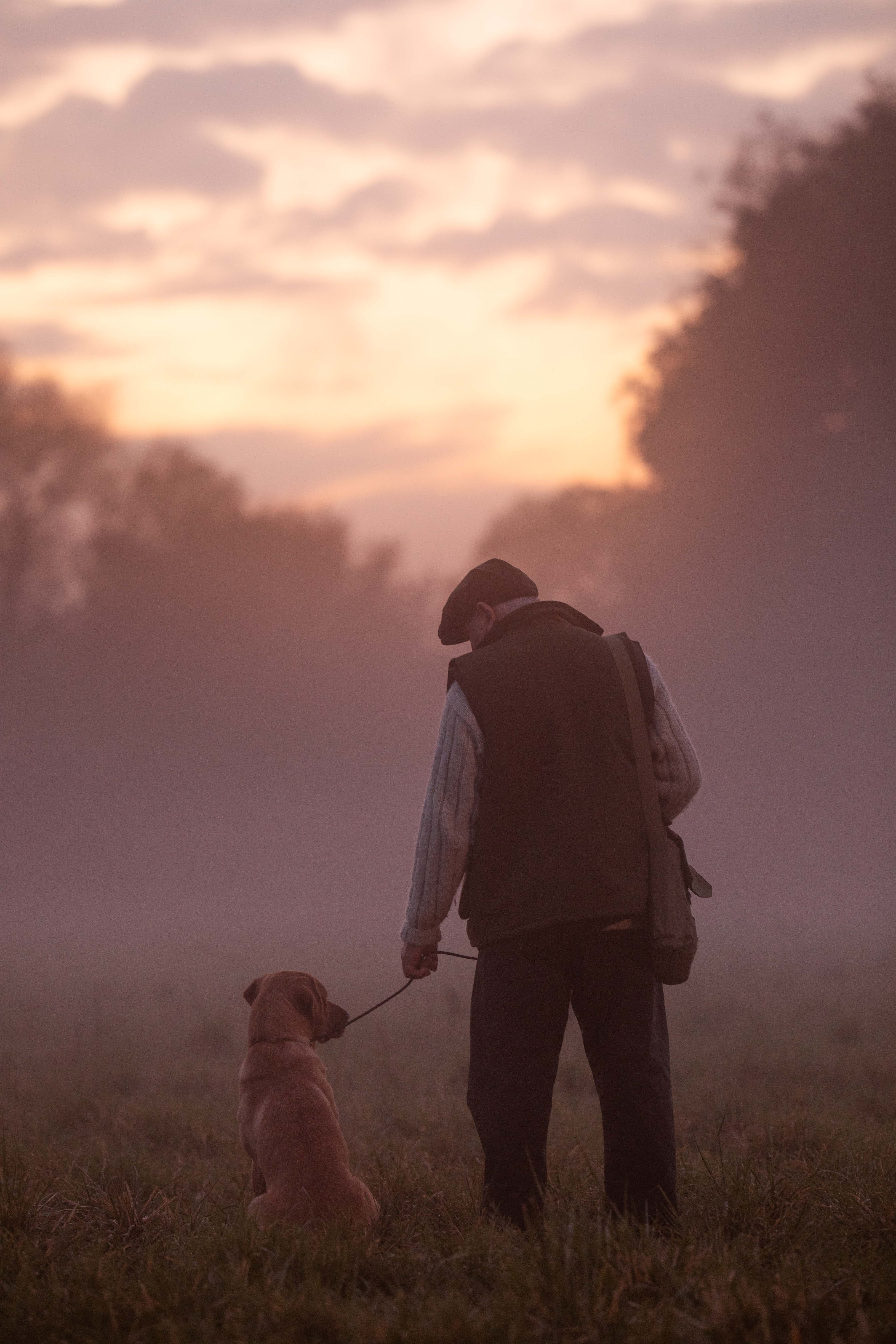 Foggy night with man and a dog