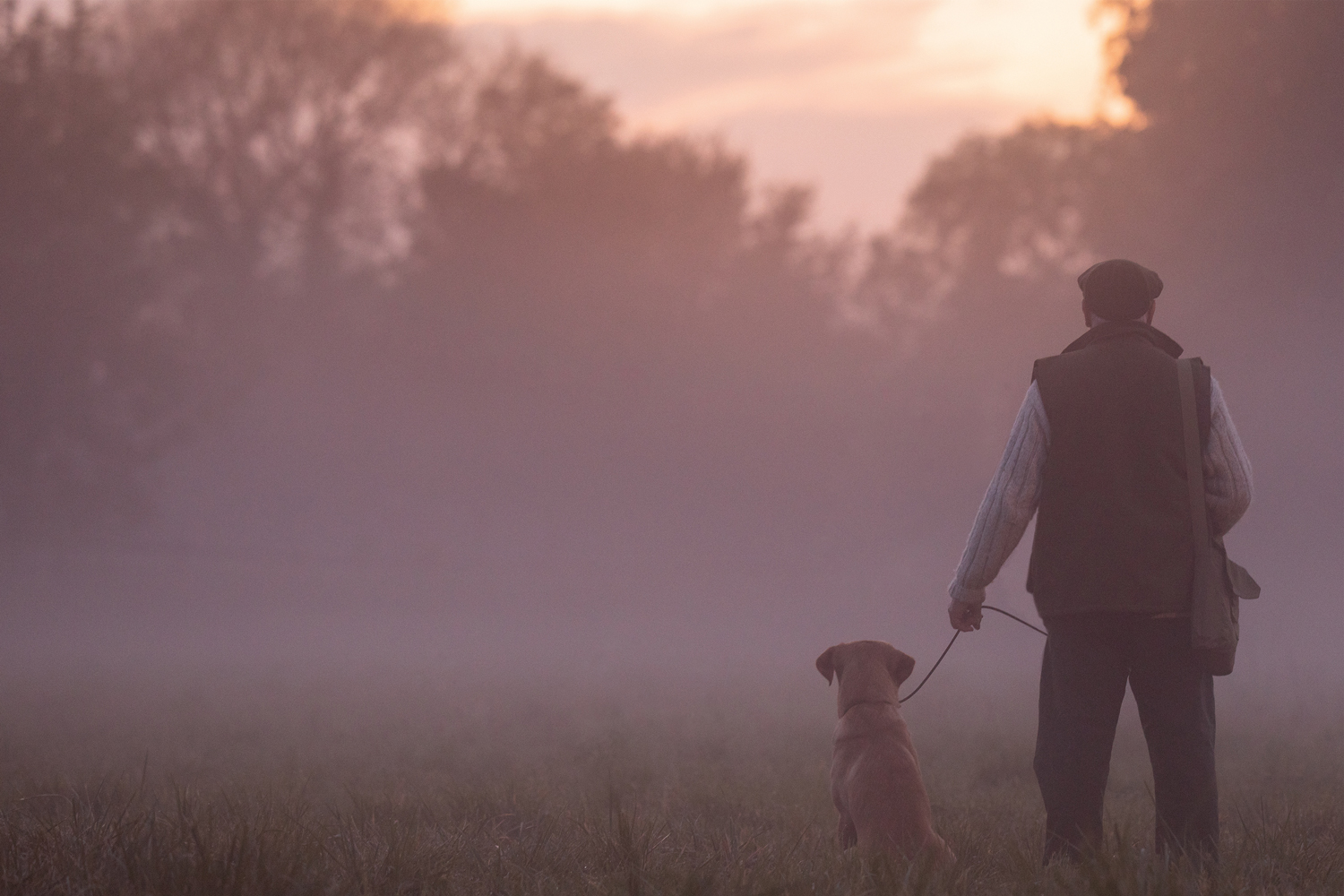Sunrise with man and dog