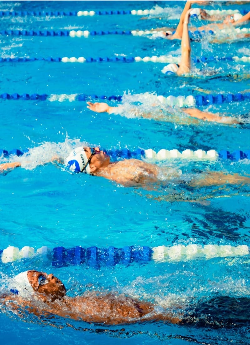 Swim Team Competition Dad's Club Aquatics