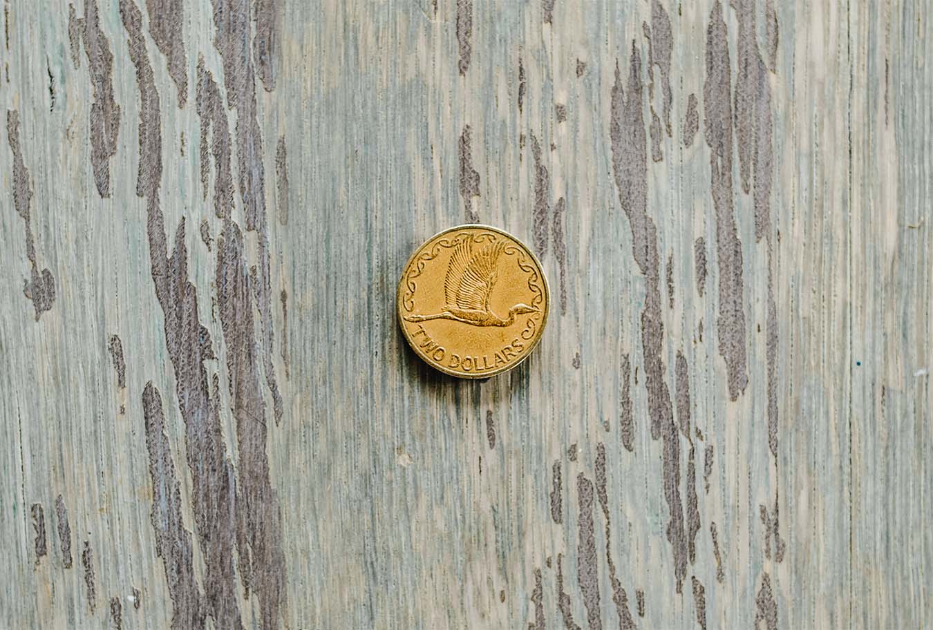 the tails side of a new zealand two dollar coin sitting on a light blue wooden surface