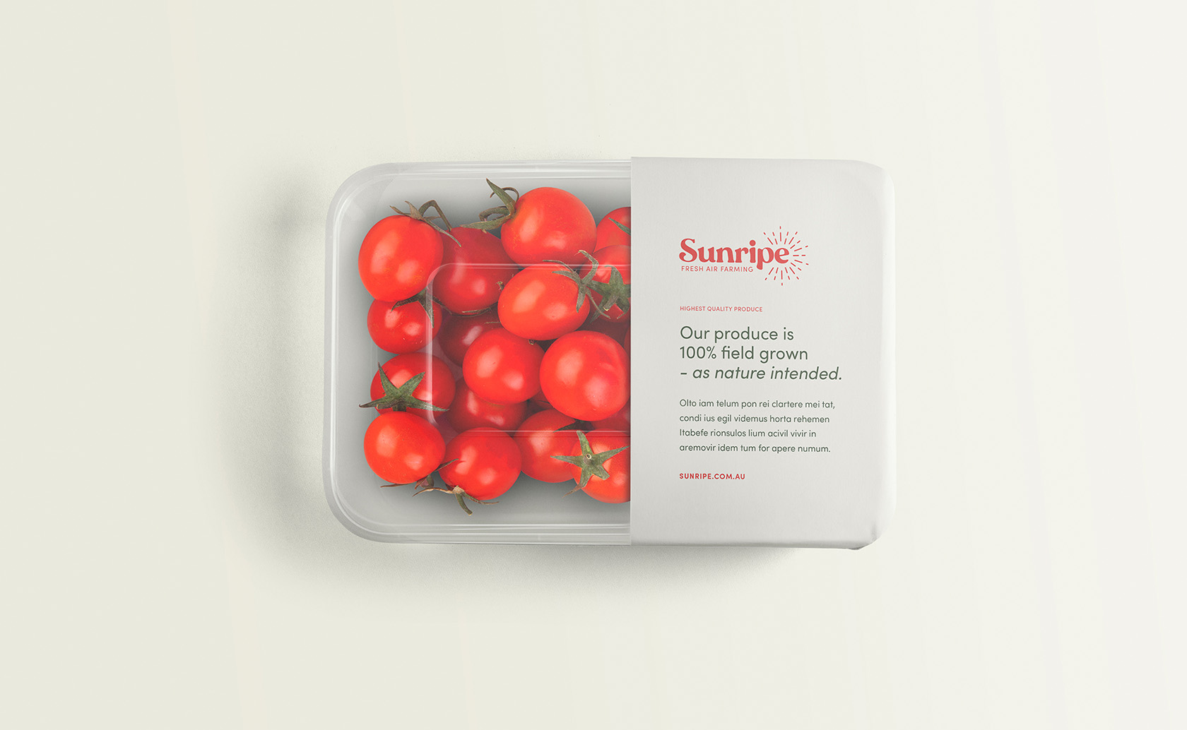 Sunripe Branding Design Case Study The Creative Noise