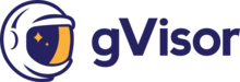 gVisor logo in color