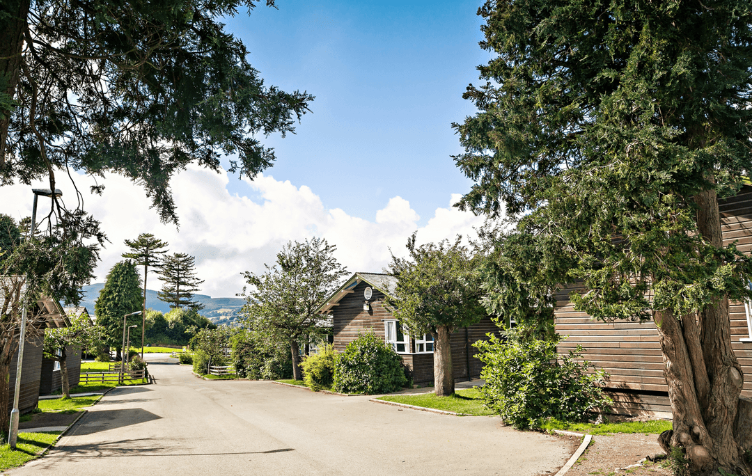 Celebrating 40 years of Kingswood News & Blogs Kingswood