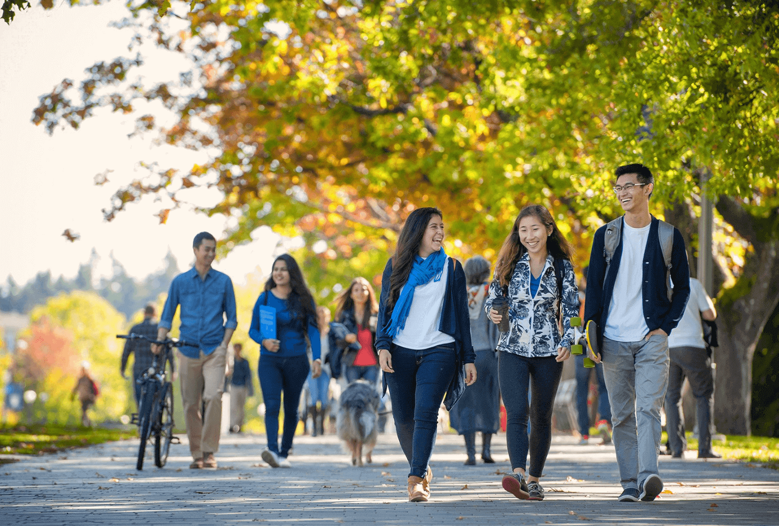 5 best cities in Canada for abroad studies Amber