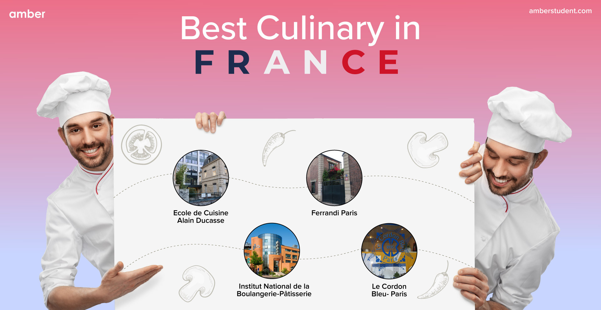 Best Culinary Schools in France For Future Michelin Stars Amber