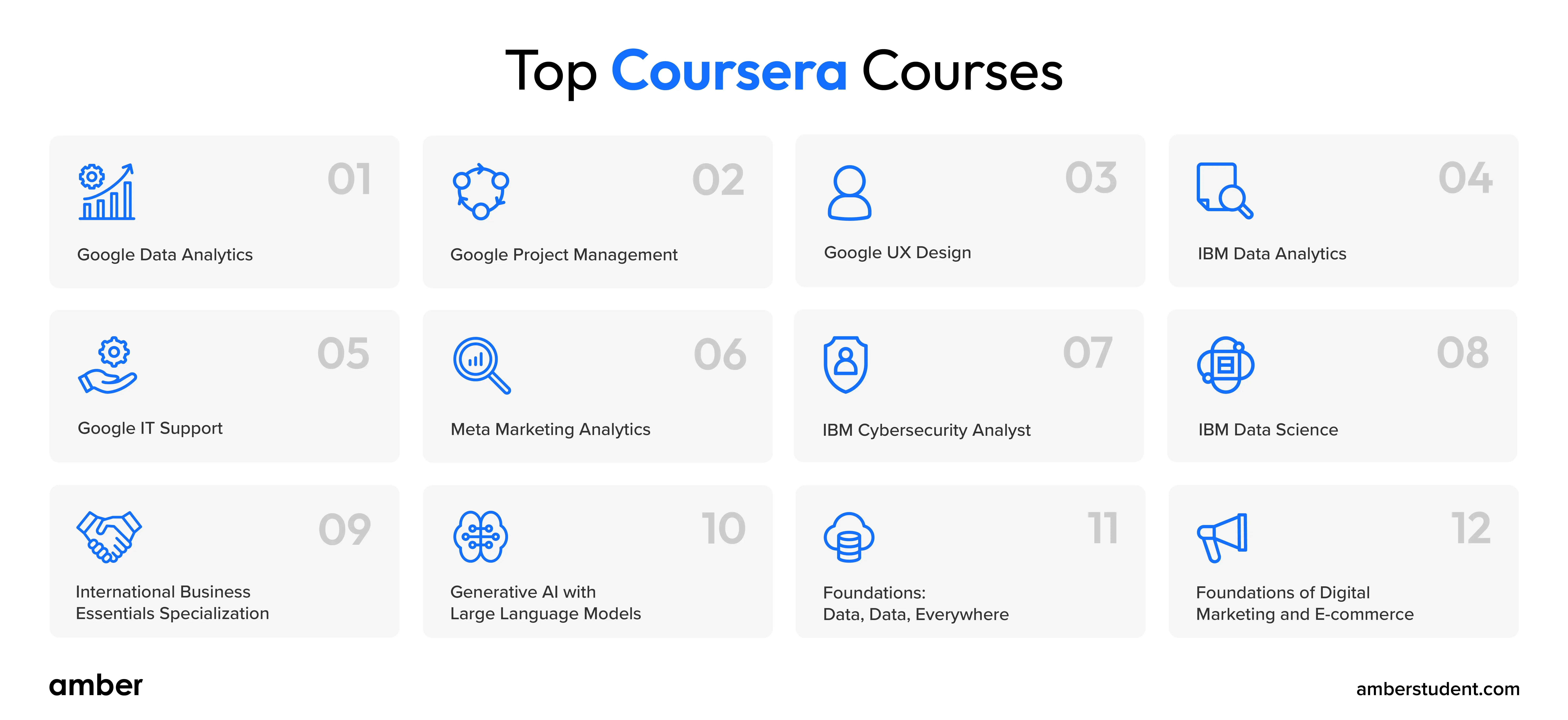 The 15 Best Coursera Courses to Do in 2024: The Ultimate Guide! | Amber