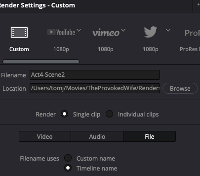 DaVinci Resolve export settings close-up