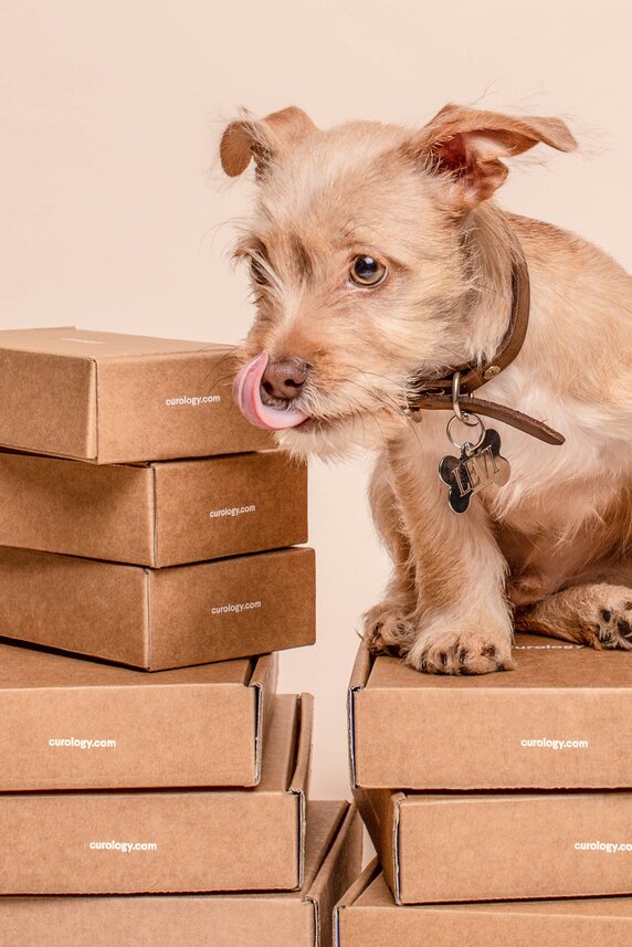 8 tips to improve your logistics and increase customer loyalty