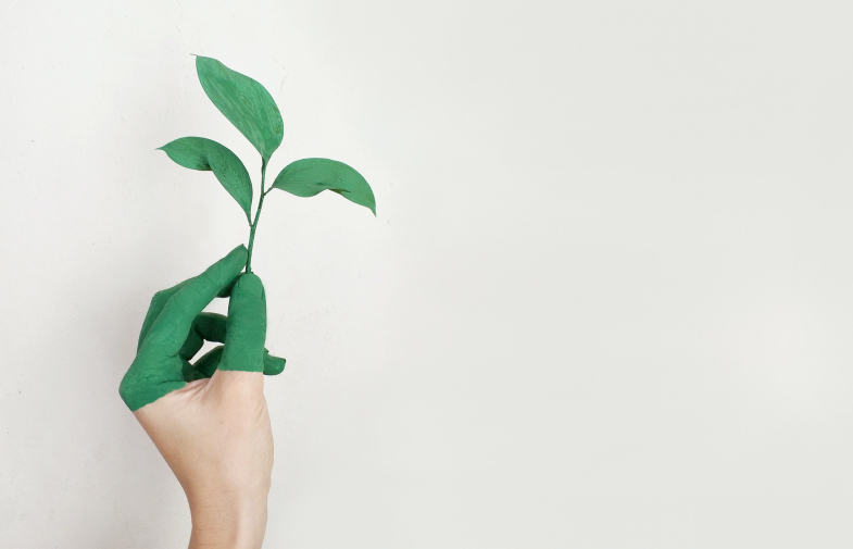 5 Steps to Transition E-commerce to Green Logistics in France 2023