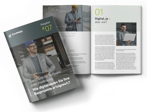 Ganzheitliche Software oder Insellösung ebook