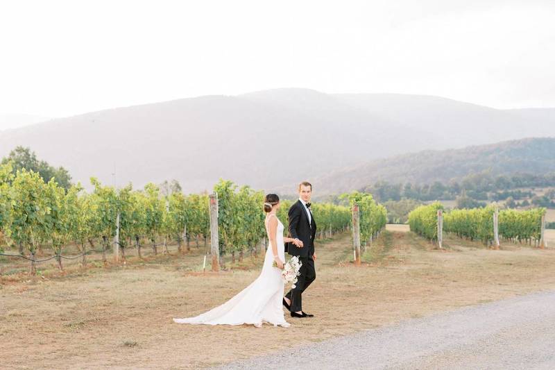 Emerson James Charlottesville Wedding Tents & Rentals Novela Weddings